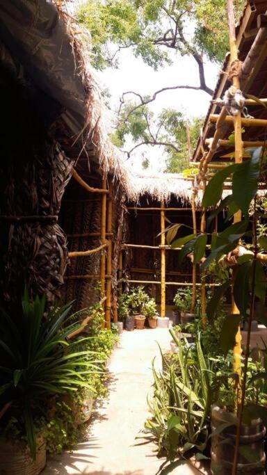 The Vintage House Villa Mysore Ngoại thất bức ảnh