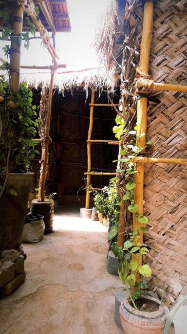 The Vintage House Villa Mysore Ngoại thất bức ảnh