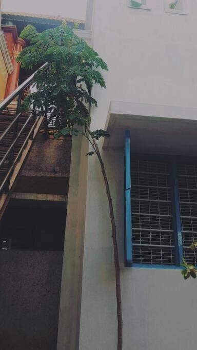 The Vintage House Villa Mysore Ngoại thất bức ảnh