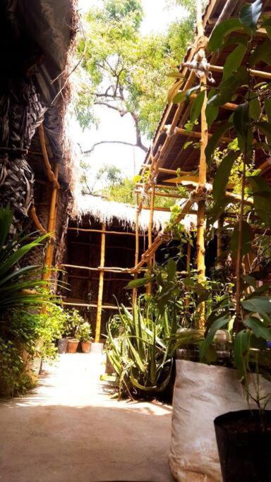 The Vintage House Villa Mysore Ngoại thất bức ảnh